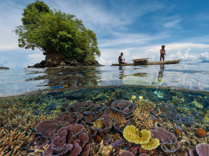 remote coral reef