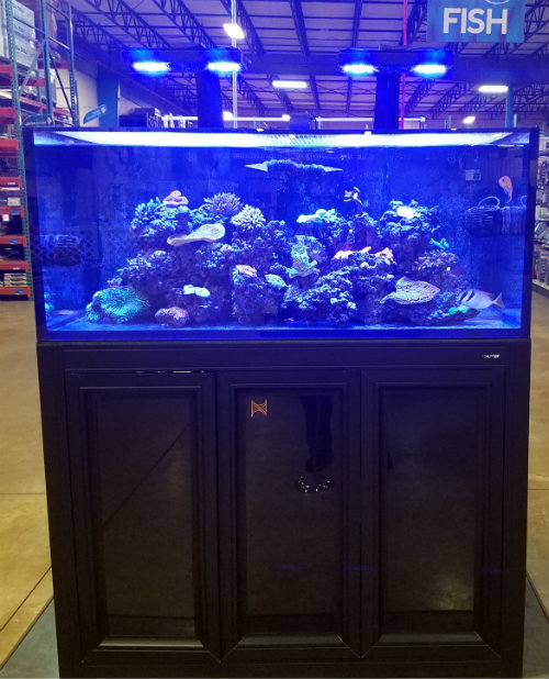 Coral Reef Aquarium 100 Gallon Fish Tank Complete Set