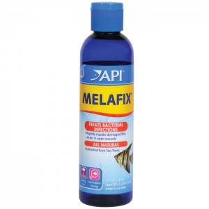 Melaleuca in Aquarium Medications