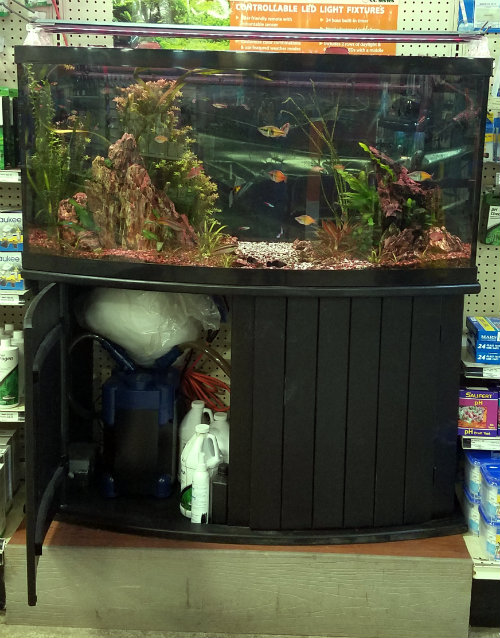 How Much Does That Aquarium Cost?