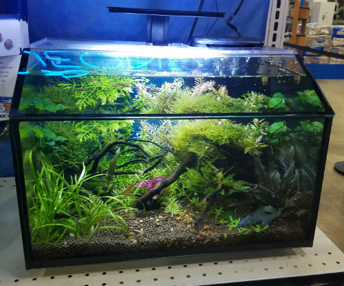 aqueon-150-gallon-aquarium