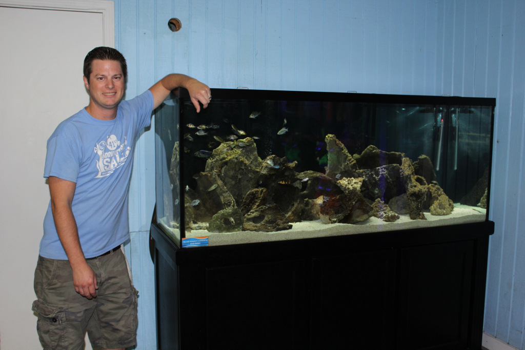 Our Newest Aquarium Display An African Cichlid Utopia Tank!