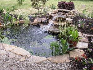 Garden Pond