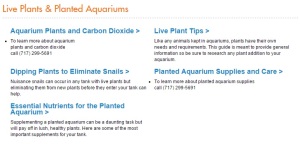 Aquatic Article Archive Live Plants Planted Aquarium