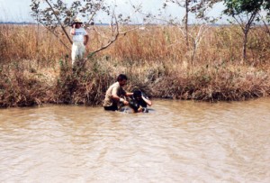 Zoology Fieldwork - Frank Hunting Anacondas in Venezuela