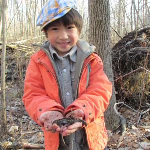 HOLD SPOTTED SALAMANDER